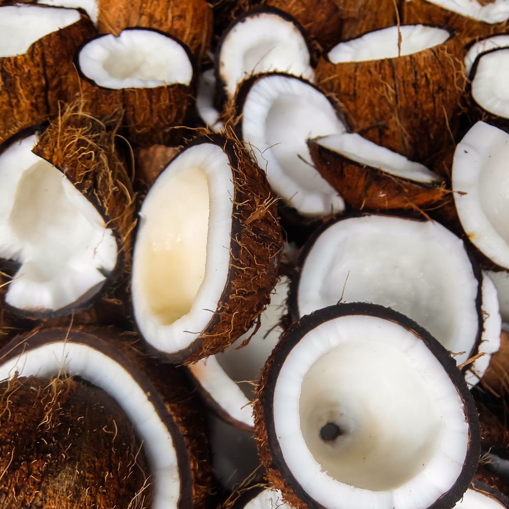 Coconut Oil
