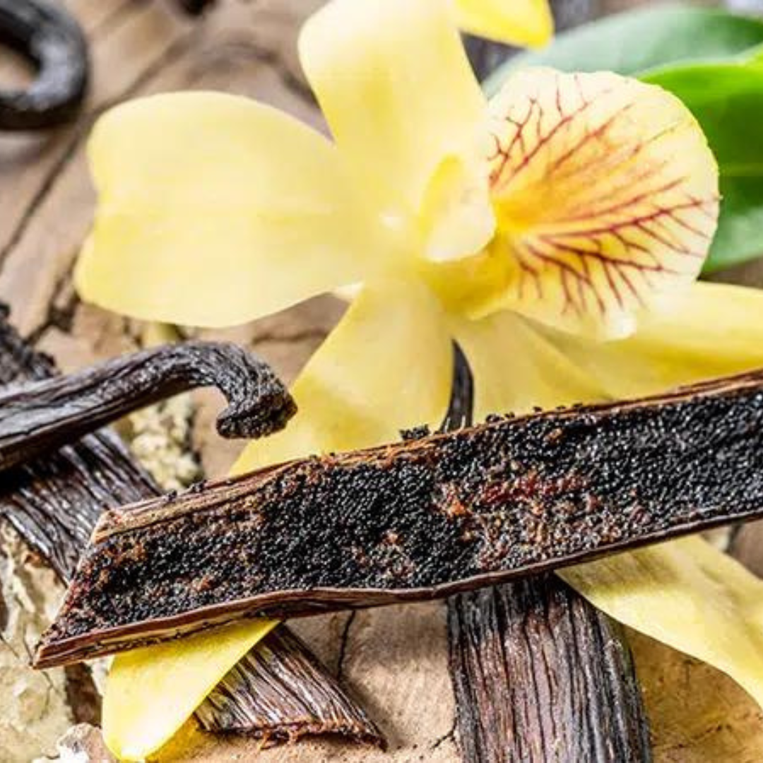 Vanilla Body Butter Organic