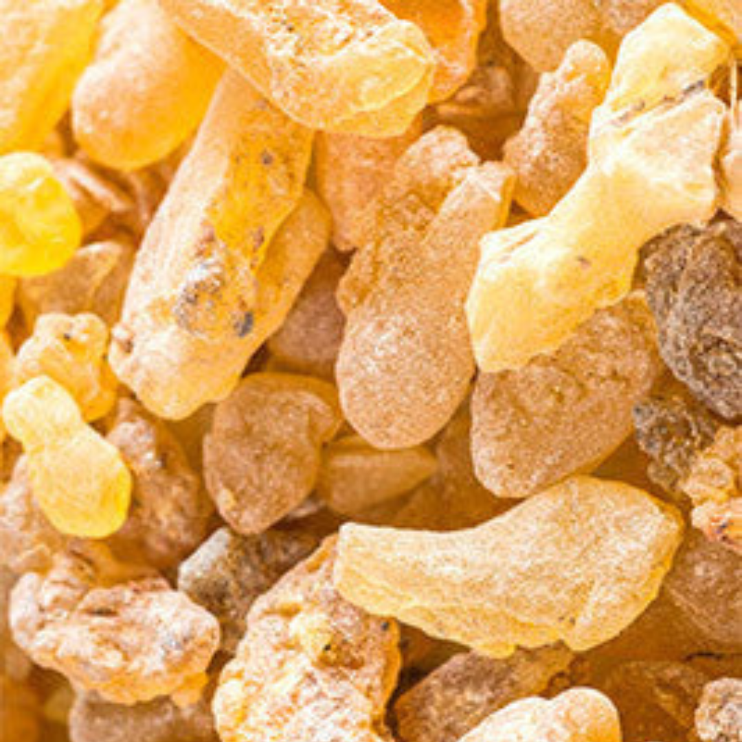 Frankincense Organic