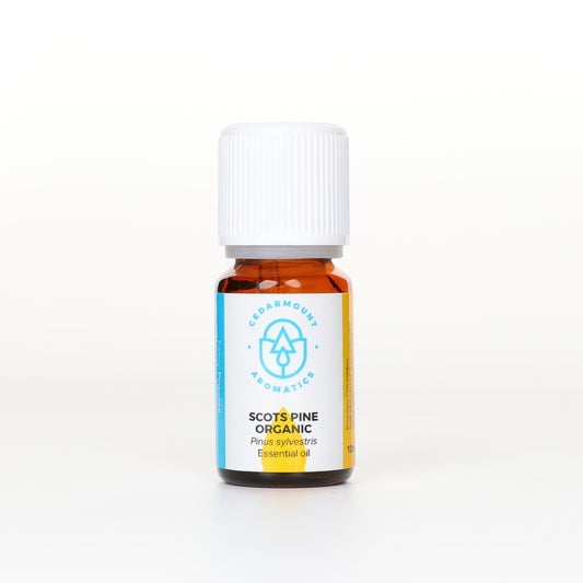 Scot's Pine Organic